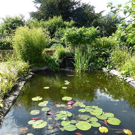 Ilchester狮门之家住宿加早餐旅馆 外观 照片